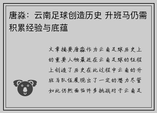 唐淼：云南足球创造历史 升班马仍需积累经验与底蕴